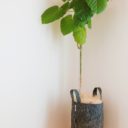 “重くない”“処分に困らない”リサイクル素材のオシャレな布製植木鉢「ルーツポーチ」