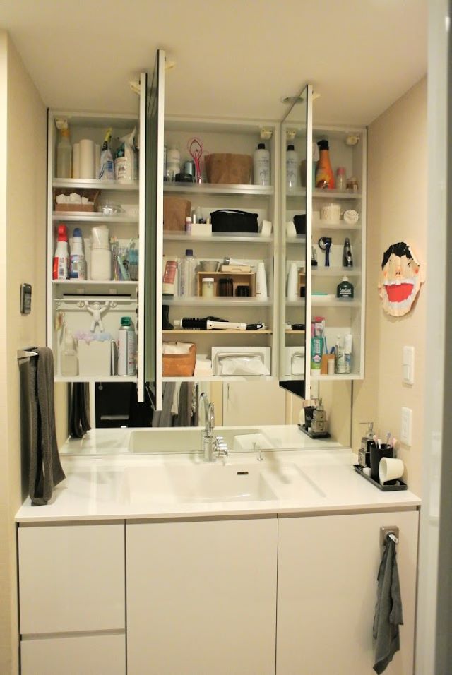 プです 洗面台用鏡収納棚と洗面台 になります - aasignimage.com