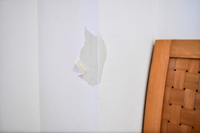 【実録】DIY初心者が自宅の壁紙貼り替えに挑戦！～壁紙決定編～