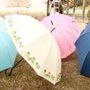 傘の総数15本以上！状況によって使い分ける傘の持ち方と収納
