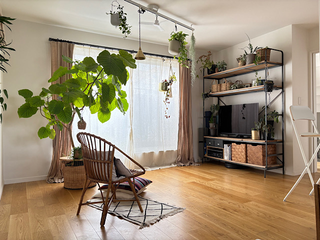 観葉植物にわくコバエを何とかしたい！実践してわかった暮らしに合う対策とは？
