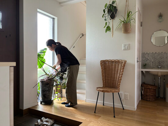 ちゃんと水やりしているのに観葉植物がなぜ枯れる？夏の水やり3つのチェックポイント