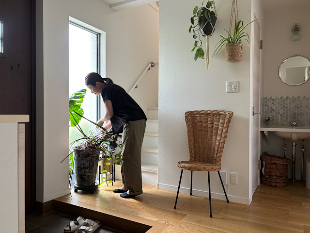 ちゃんと水やりしているのに観葉植物がなぜ枯れる？夏の水やり3つのチェックポイント
