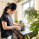 観葉植物のお世話がラクに！おすすめのハサミと収納の工夫、お手入れ法とは？