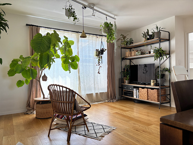 観葉植物を枯らさず育てたい人へ。お世話が続く暮らしの整え方と工夫とは？ 