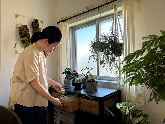 観葉植物を枯らさず育てたい人へ。お世話が続く暮らしの整え方と工夫とは？ 