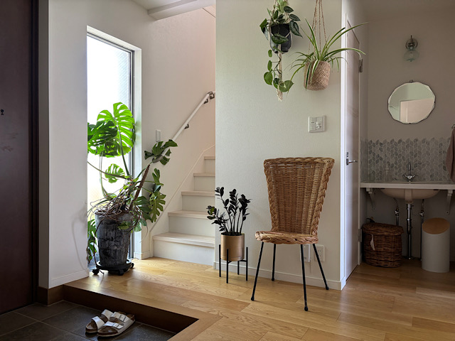 観葉植物を枯らさず育てたい人へ。お世話が続く暮らしの整え方と工夫とは？ 