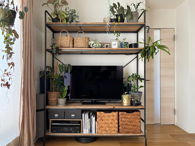 観葉植物を枯らさず育てたい人へ。お世話が続く暮らしの整え方と工夫とは？ 